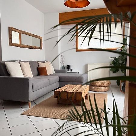 Appartement Spacieux Au Pays Du Mont-Blanc サランシュ エクステリア 写真