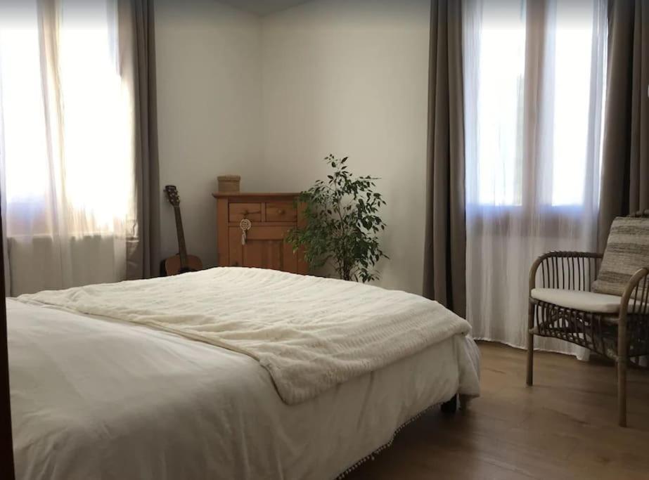 Appartement Spacieux Au Pays Du Mont-Blanc サランシュ エクステリア 写真