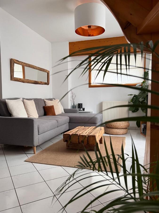 Appartement Spacieux Au Pays Du Mont-Blanc サランシュ エクステリア 写真