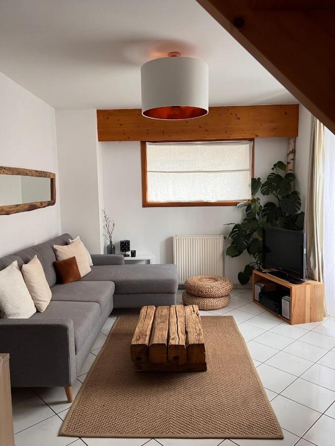 Appartement Spacieux Au Pays Du Mont-Blanc サランシュ エクステリア 写真