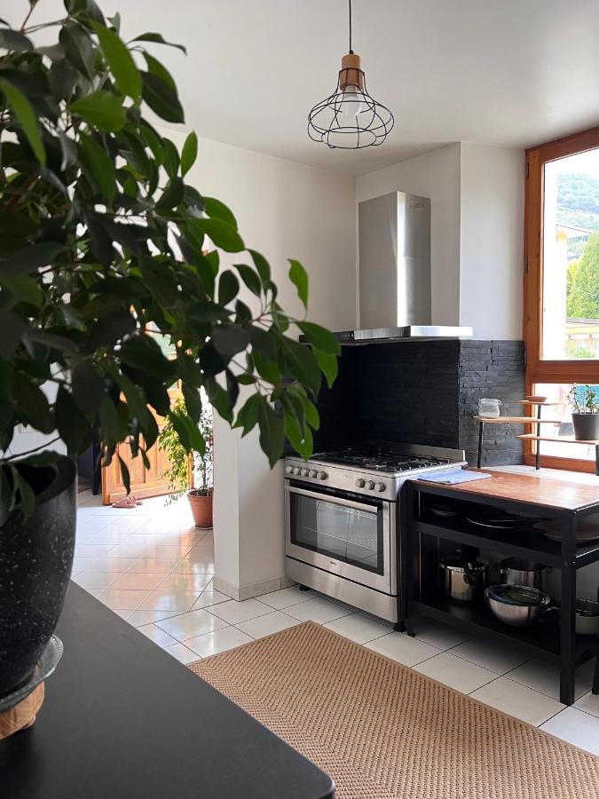 Appartement Spacieux Au Pays Du Mont-Blanc サランシュ エクステリア 写真